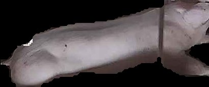 Crop