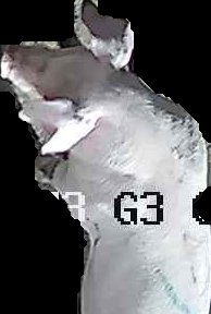 Crop