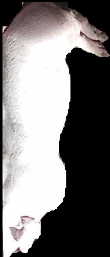 Crop