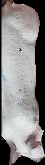 Crop