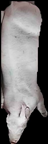 Crop