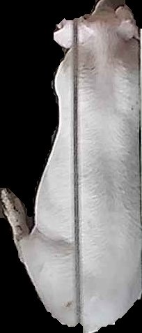 Crop