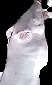 Crop