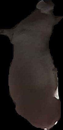 Crop