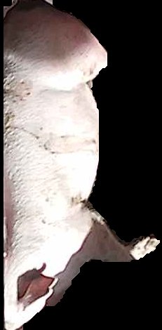 Crop