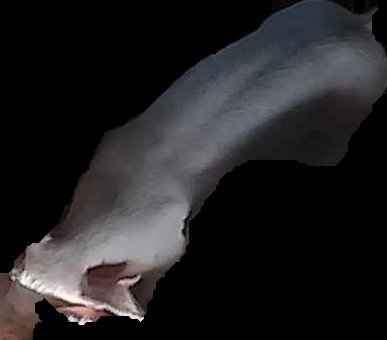 Crop