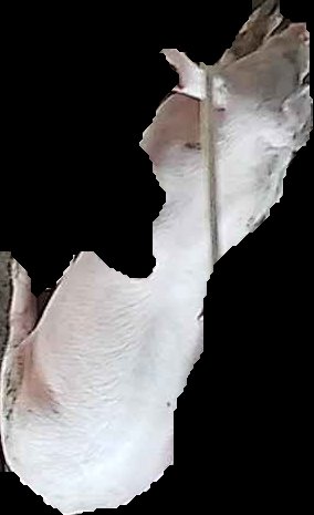 Crop