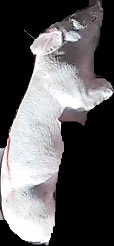 Crop