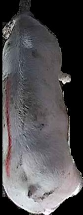 Crop
