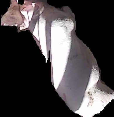 Crop