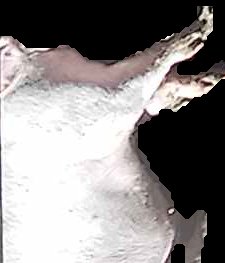 Crop