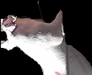 Crop