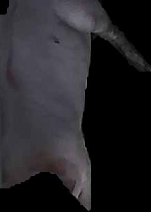 Crop
