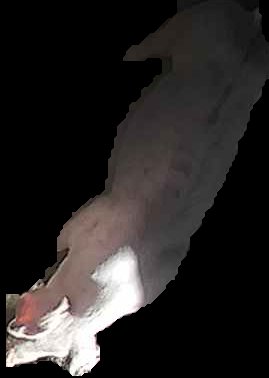 Crop