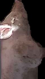 Crop