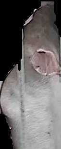 Crop
