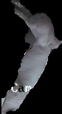 Crop