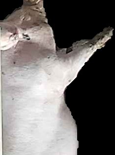 Crop