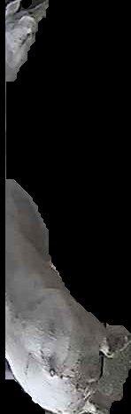 Crop
