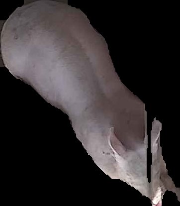 Crop