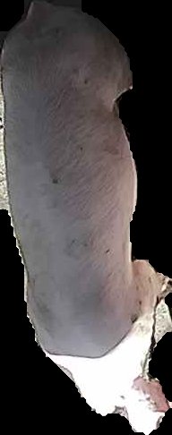 Crop