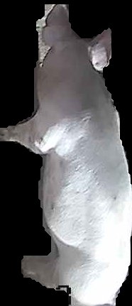 Crop