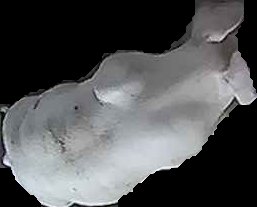 Crop