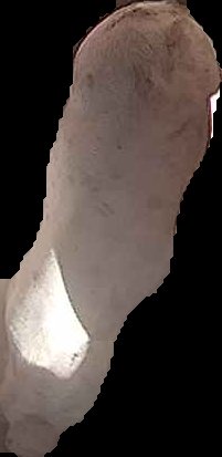 Crop