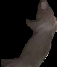 Crop