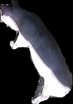Crop