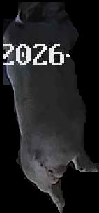 Crop