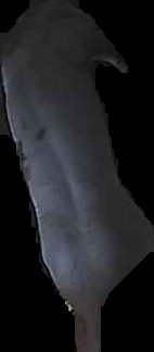 Crop