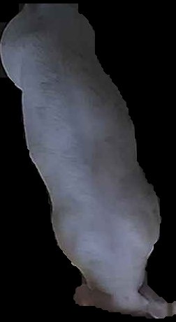Crop