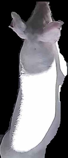 Crop