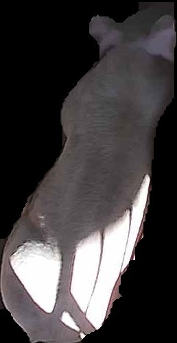 Crop