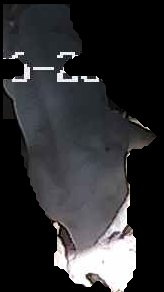 Crop