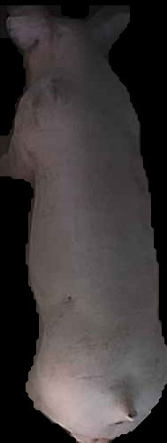 Crop