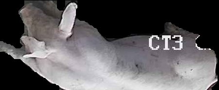 Crop
