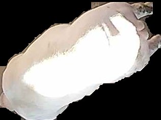 Crop