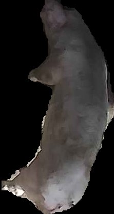 Crop
