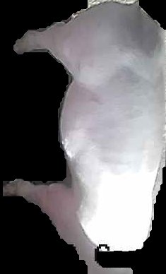 Crop
