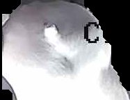 Crop
