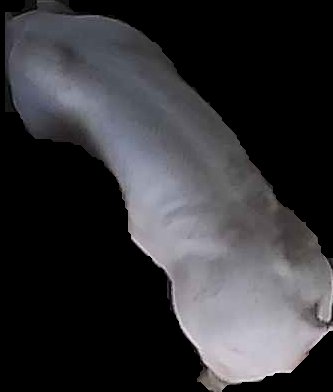 Crop