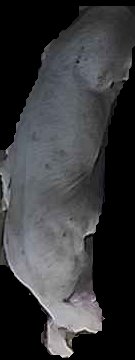 Crop