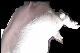 Crop