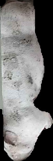Crop