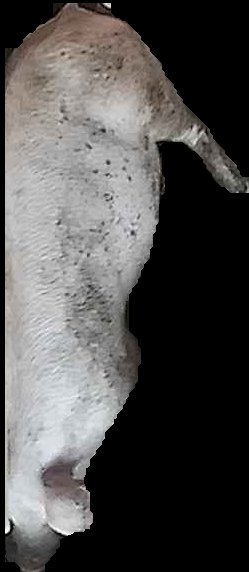 Crop