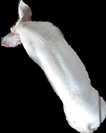 Crop