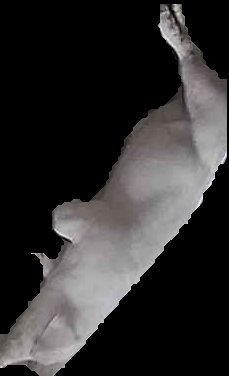 Crop