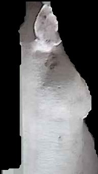 Crop